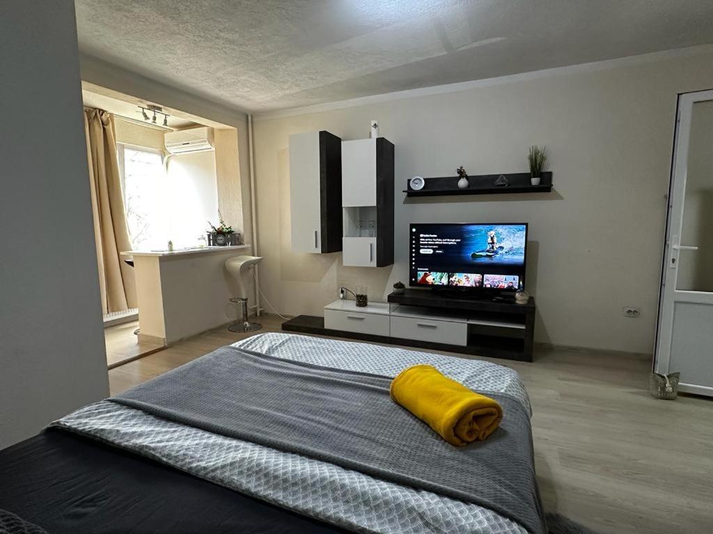 טימישוארה Reeas Apartament מראה חיצוני תמונה