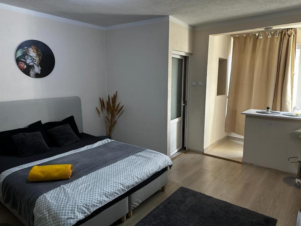 טימישוארה Reeas Apartament מראה חיצוני תמונה