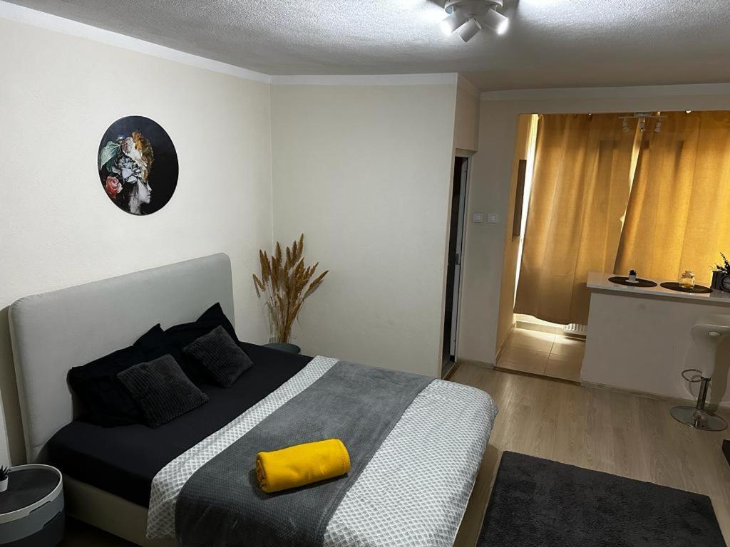 טימישוארה Reeas Apartament מראה חיצוני תמונה