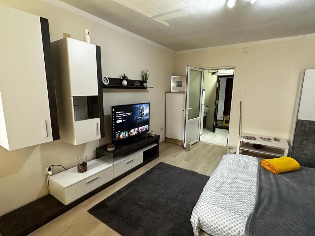 טימישוארה Reeas Apartament מראה חיצוני תמונה