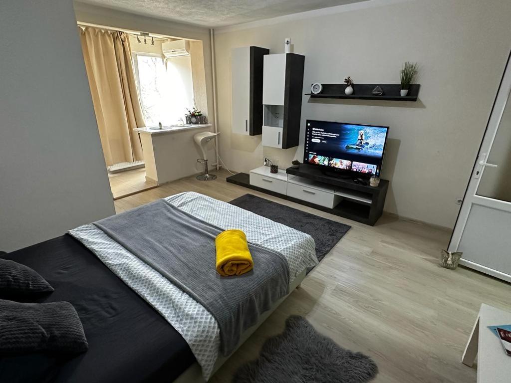 טימישוארה Reeas Apartament מראה חיצוני תמונה