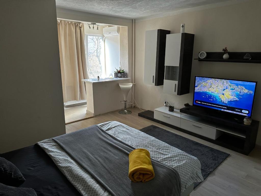 טימישוארה Reeas Apartament מראה חיצוני תמונה