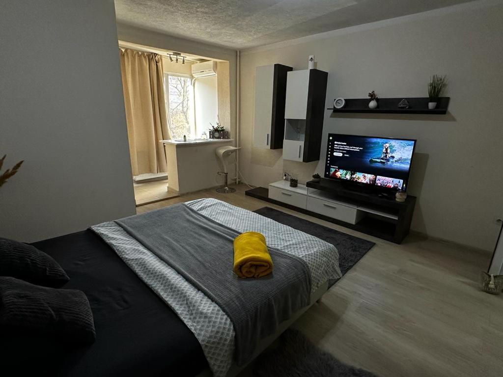 טימישוארה Reeas Apartament מראה חיצוני תמונה