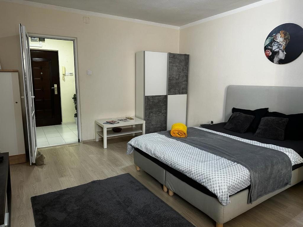 טימישוארה Reeas Apartament מראה חיצוני תמונה