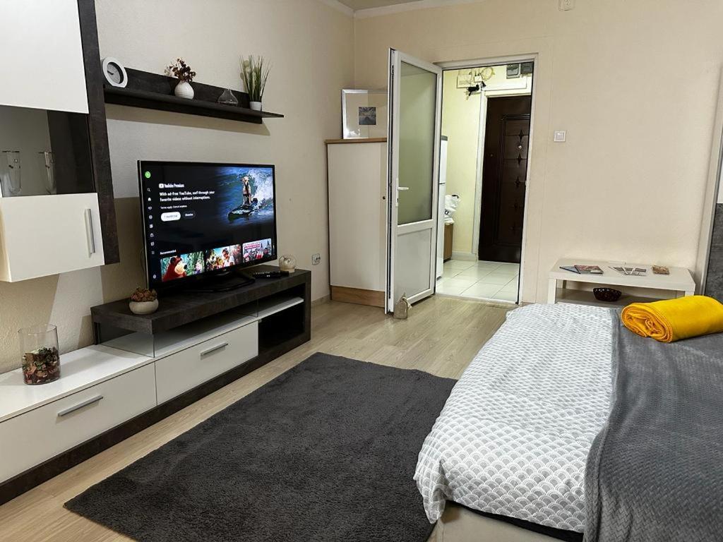 טימישוארה Reeas Apartament מראה חיצוני תמונה